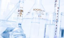 Featured image of post Lab Notes